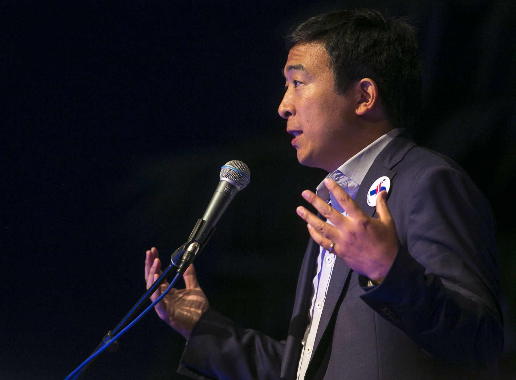 Democratic Wing Ding 5